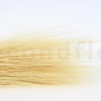 Dried Barba Cream