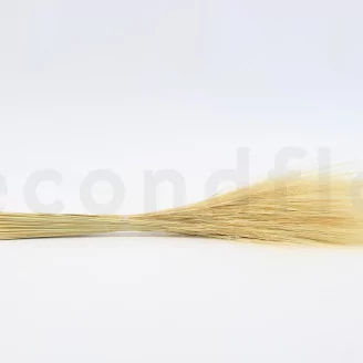 Dried Barba Cream