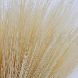 Dried Barba Cream