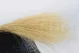 Dried Barba Cream 4