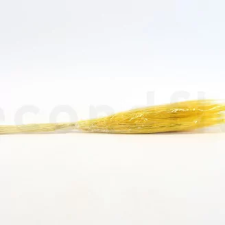 Dried Barba Yellow