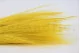 Dried Barba Yellow 6