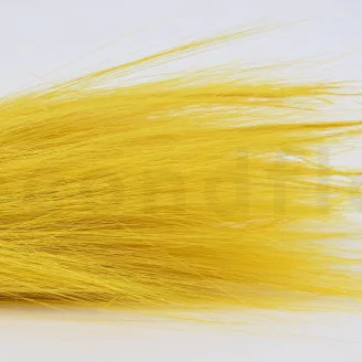 Dried Barba Yellow