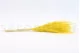 Dried Barba Yellow 3