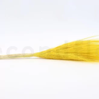 Dried Barba Yellow