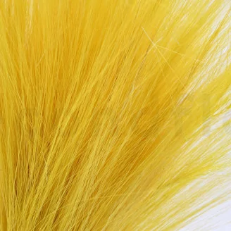Dried Barba Yellow