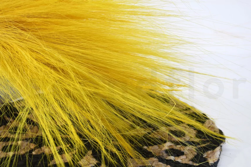 Dried Barba Yellow