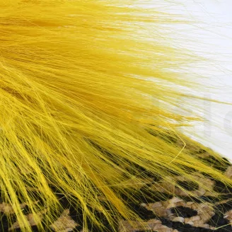 Dried Barba Yellow