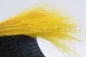 Dried Barba Yellow 4