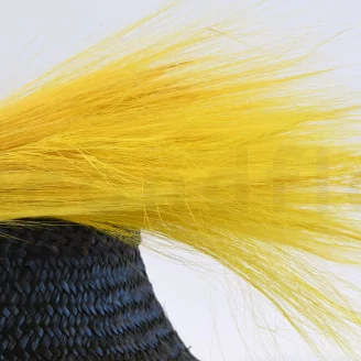 Dried Barba Yellow