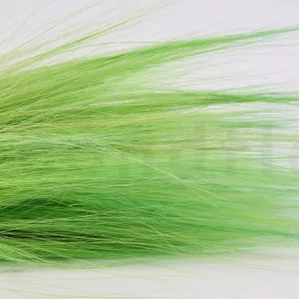 Dried Barba Green