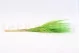 Dried Barba Green 3