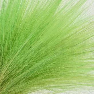 Dried Barba Green