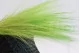 Dried Barba Green 4