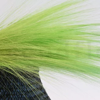 Dried Barba Green