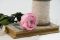 A 30 cm Preserved Pink English Rose in a Bulk of 25 Units