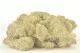 Preserved Reindeer Moss Cream (Box) 1