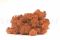1 kg of Preserved Premium-Quality Orange Reindeer Moss Sold Wholesale for Green Walls
