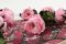 A 30 cm Preserved Pink English Rose in a Bulk of 25 Units