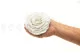 Preserved Rose XXL White 2