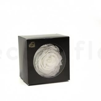Preserved Rose XXL White
