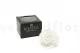 Preserved Rose XXL White 8