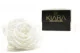 Preserved Rose XXL White 9