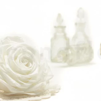Preserved Rose XXL White