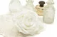 Preserved Rose XXL White 4