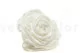 Preserved Rose XXL White 1