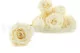 Preserved Rose L Pearl White (set of 8) 1