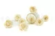 Preserved Rose L Pearl White (set of 8) 9