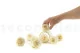 Preserved Rose L Pearl White (set of 8) 10