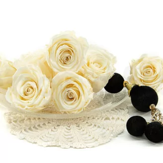 Preserved Rose L Pearl White (set of 8)