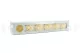 Preserved Rose XL Pearl White (set of 6) 9