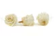 Preserved Rose XL Pearl White (set of 6) 7