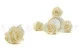 Preserved Rose XL Pearl White (set of 6) 5