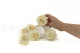 Preserved Rose XL Pearl White (set of 6) 11