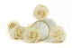 Preserved Rose XL Pearl White (set of 6) 4