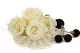 Preserved Rose XL Pearl White (set of 6) 3