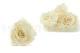 Preserved Rose XL Pearl White (set of 6) 2