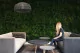Preserved Tree Fern 11
