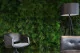 Preserved Tree Fern 12