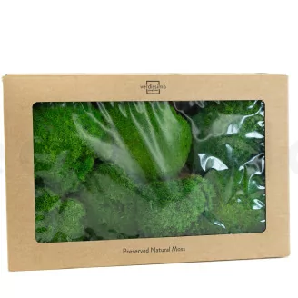 Preserved Pole Moss Green (Box)
