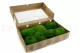 Preserved Pole Moss Green (Box) 2