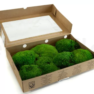 Preserved Pole Moss Green (Box)