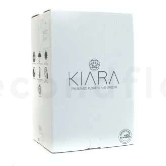 Preserved Rose on Stem 20" White - Individual Gift Box (set of 20)