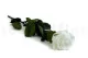 Preserved Rose on Stem 20" White - Individual Gift Box (set of 20) 10