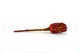 Preserved Protea Grandiceps Red 5