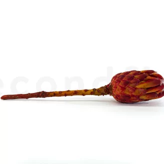 Preserved Protea Grandiceps Red